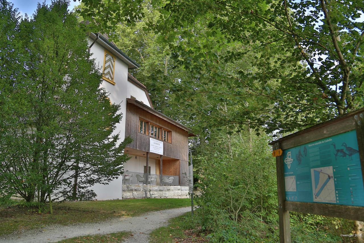Hotel Domaine De La Sauge Cudrefin Bagian luar foto